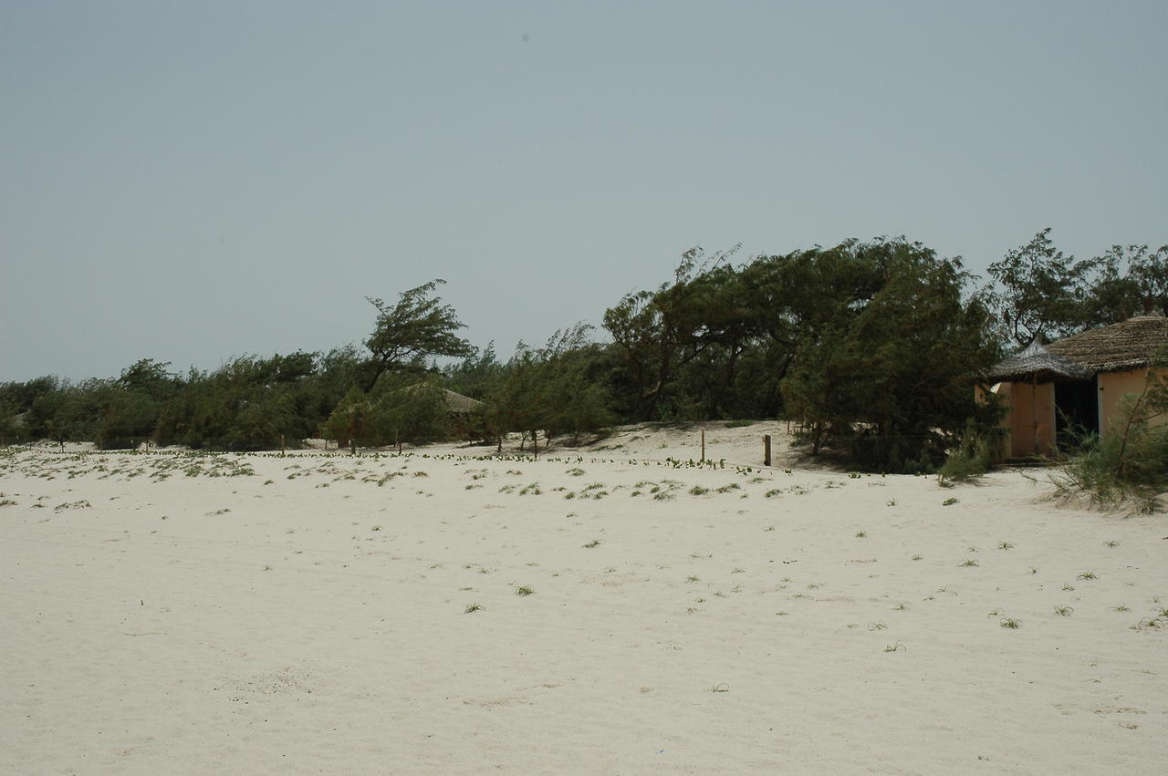 Diamarek Hotel Sur La Plage Saint-Louis Eksteriør bilde